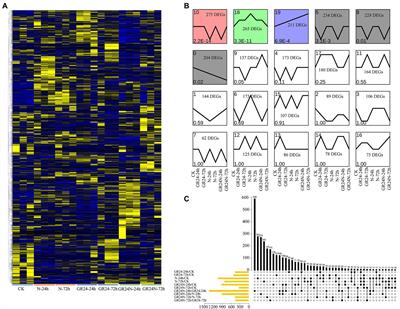 Effects of Strigolactone on <mark class="highlighted">Torreya grandis</mark> Gene Expression and Soil Microbial Community Structure Under Simulated Nitrogen Deposition